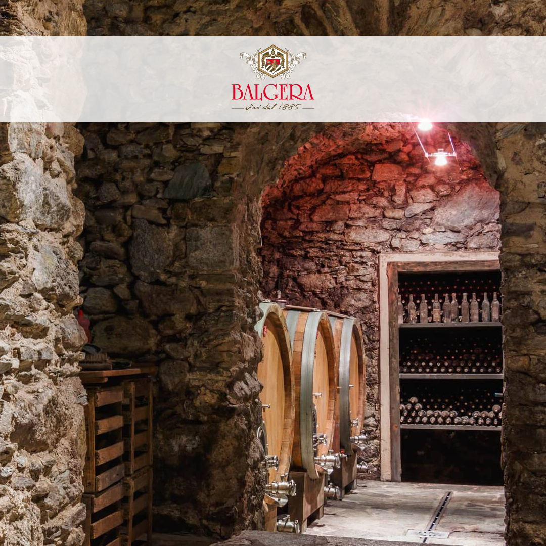 Un tuffo nel passato alla Casa Vinicola Balgera