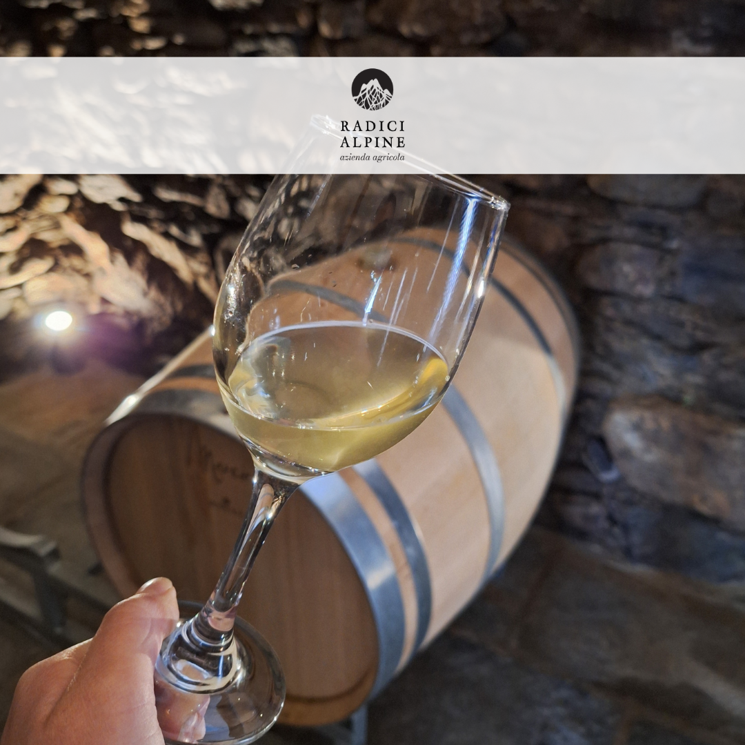 Radici Alpine: il coraggio dell’ innovazione