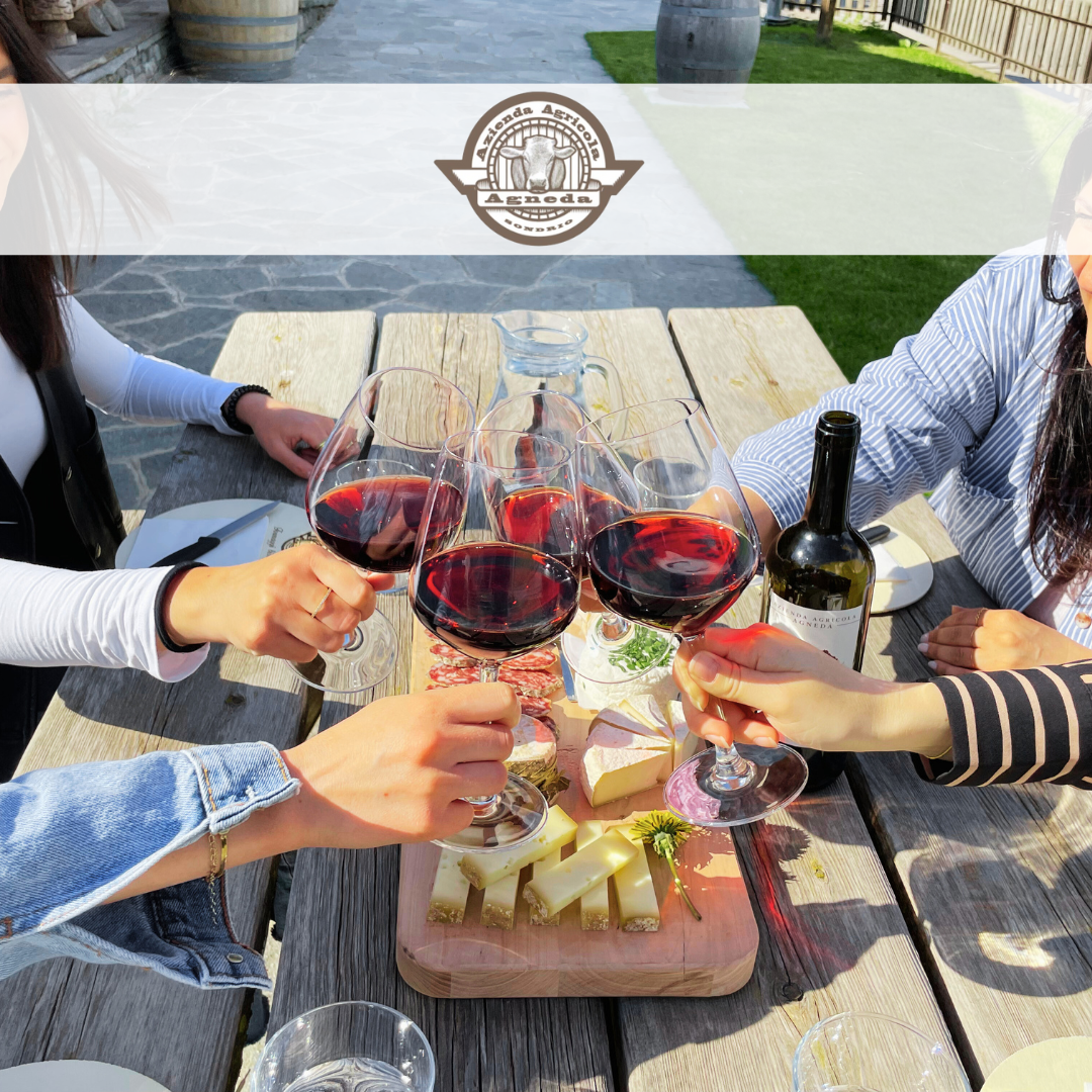 Agneda: vivere la Valtellina tra pascoli, cantine e chalet