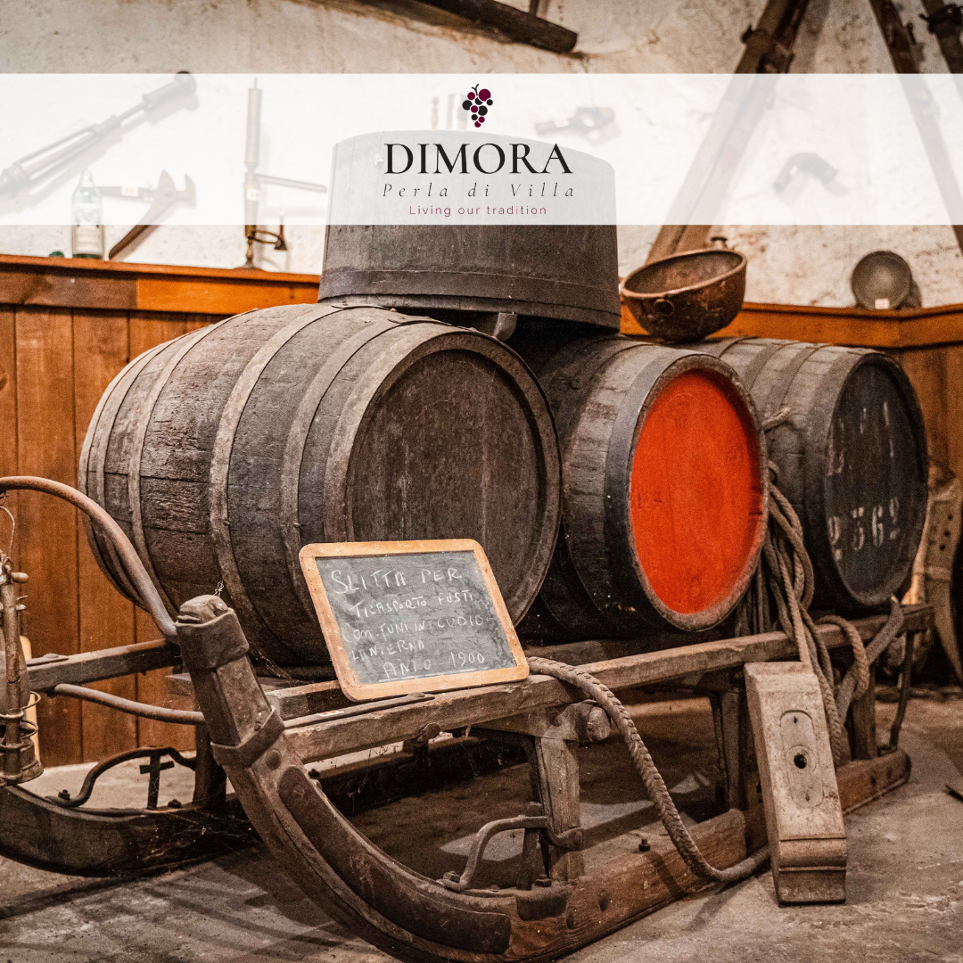 Tra gusto e storia: soggiornare in un'antica tenuta vinicola