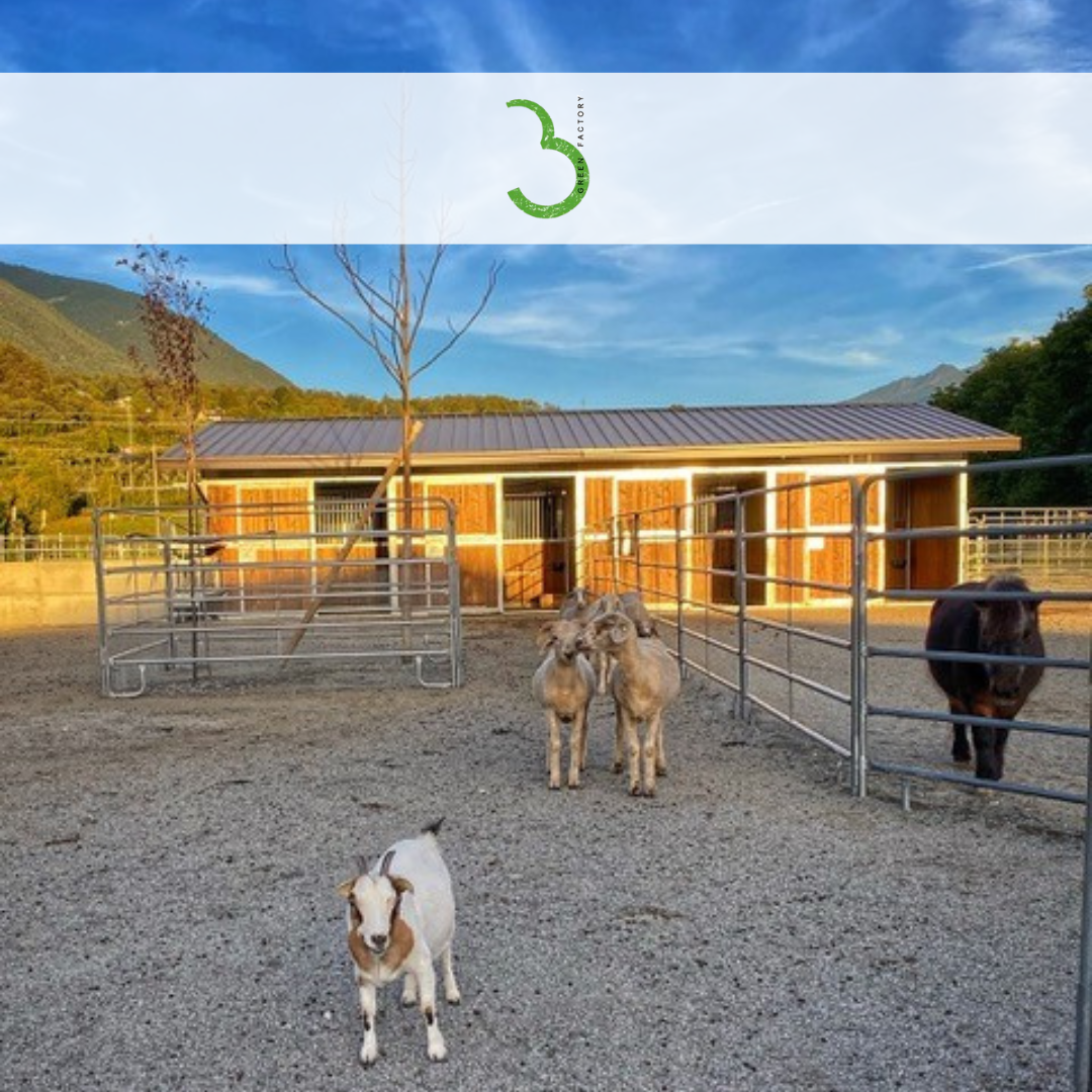 Una giornata in fattoria didattica: divertimento per grandi e piccini!