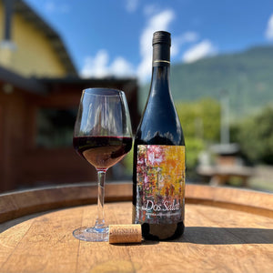 Visita in alpeggio e degustazione di formaggi e vino