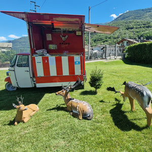 Lezione di tiro con l'arco e aperitivo