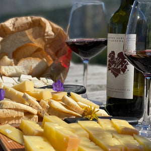 Visita in alpeggio e degustazione di formaggi e vino