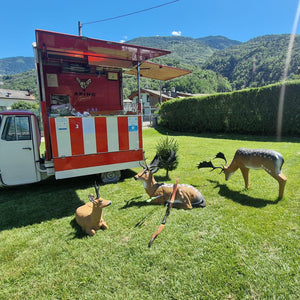 Lezione di tiro con l'arco e aperitivo