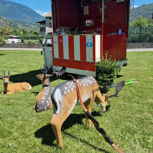 Lezione di tiro con l'arco e aperitivo