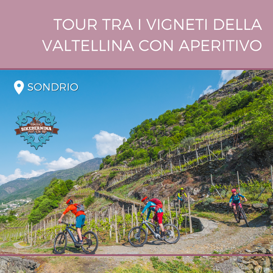 Tour in e-bike tra i vigneti con aperitivo (mezza giornata)