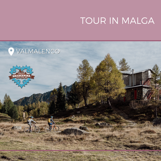 Tour in e-bike in malga (giornata intera)