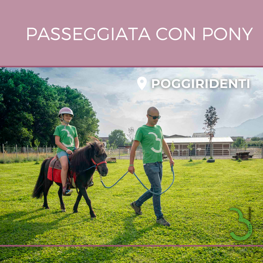 Passeggiata Con Pony