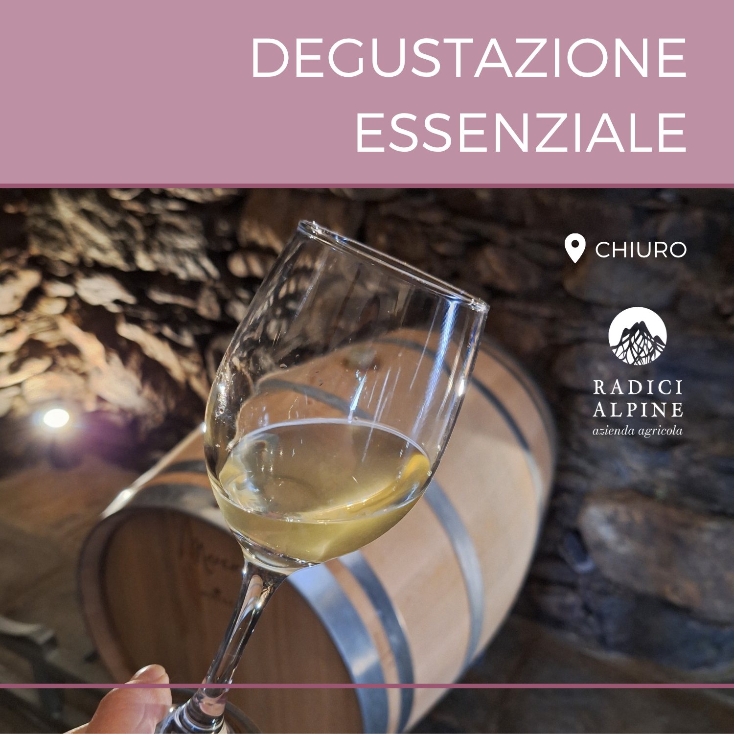 Degustazione di vino bianco "piwi" con visita in cantina