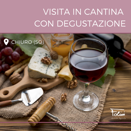 Visita in cantina con degustazione per 1 persona