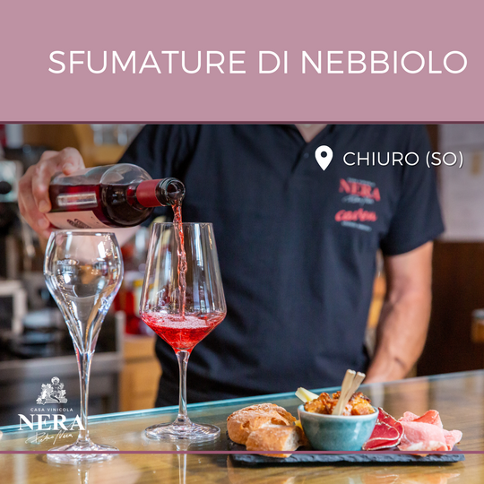 Visita in cantina con degustazione di 4 vini