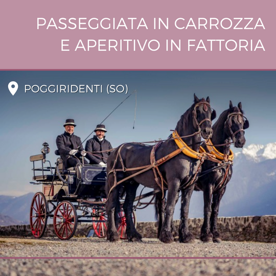 Passeggiata In Carrozza e aperitivo in fattoria (prezzo per persona)