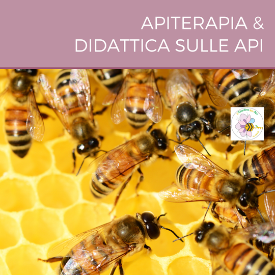 Api-relax con oli essenziali + didattica sulle api