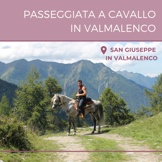 Passeggiata a cavallo di 1h in Valmalenco