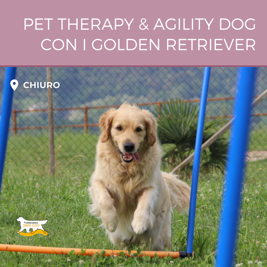 Pet therapy + Agility dog con i Golden Retriever