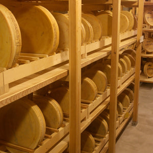 Visita guidata alle cantine Folcher con degustazione di formaggi Presidio Slow Food
