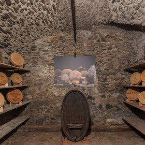 Visita guidata alle cantine Folcher con degustazione di formaggi Presidio Slow Food