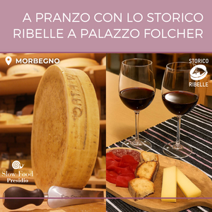 Visita guidata alle cantine Folcher con pranzo e degustazione di formaggi presidio Slow Food