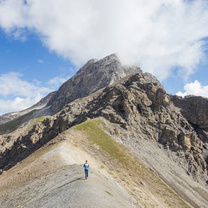 Escursione guidata oltre i 3000mt