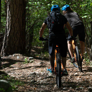 Escursione guidata in E-bike RIDER