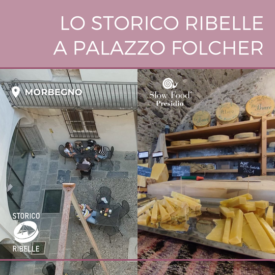 Visita guidata alle cantine Folcher con degustazione di formaggi Presidio Slow Food