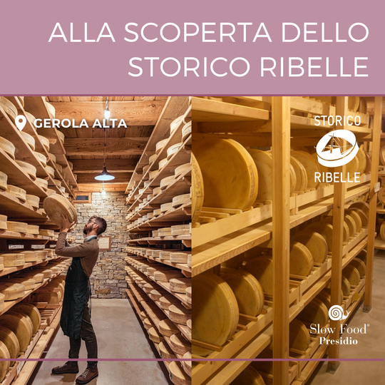 Visita guidata con degustazione di formaggi presidio Slow Food