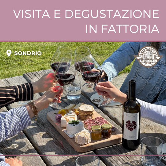 Visita in fattoria e degustazione di formaggi e vino