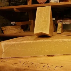 Visita guidata alle cantine Folcher con degustazione di formaggi Presidio Slow Food