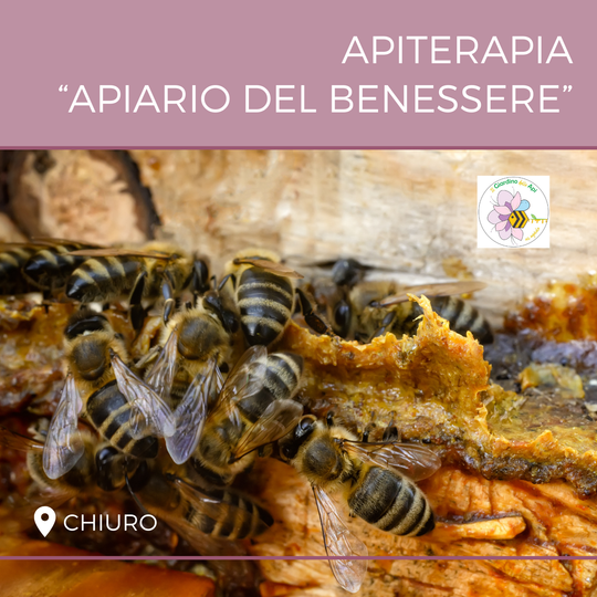 Api-relax con oli essenziali