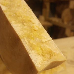 Visita guidata alle cantine Folcher con degustazione di formaggi Presidio Slow Food