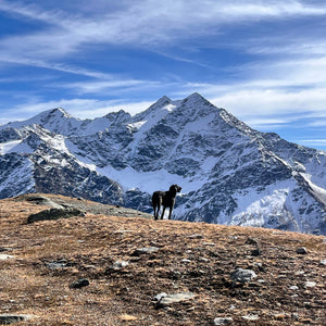 Escursione guidata oltre i 3000mt
