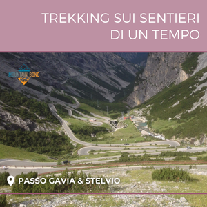 Trekking sui Passi Gavia & Stelvio
