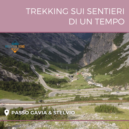 Trekking sui Passi Gavia & Stelvio