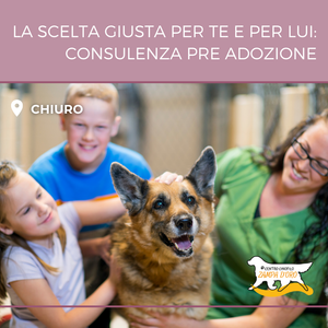Consulenza pre adozione