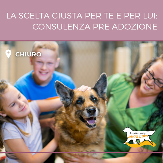Consulenza pre adozione