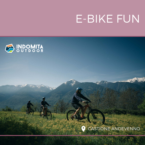 Escursione guidata in E-bike FUN
