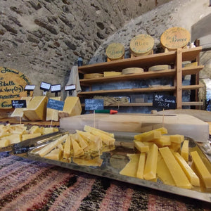 Visita guidata alle cantine Folcher con degustazione di formaggi Presidio Slow Food