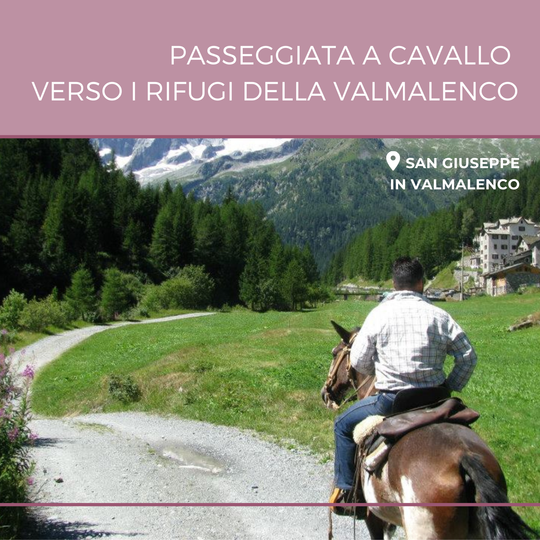 Passeggiata a cavallo di 3h verso i rifugi della Valmalenco