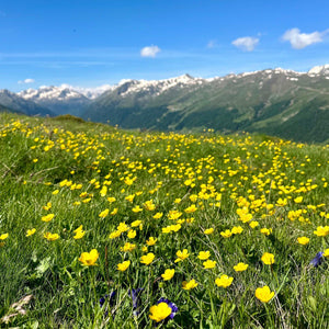 A lezione di camminata