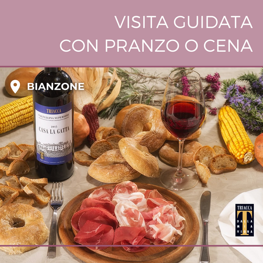 Visita guidata con Pranzo o Cena (prezzo per persona)