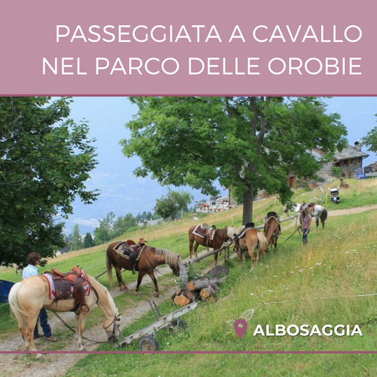 Passeggiata a cavallo nelle Orobie di 1h