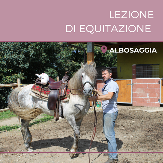 Lezione di equitazione di 1h