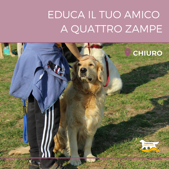 Educa il tuo amico a quattro zampe
